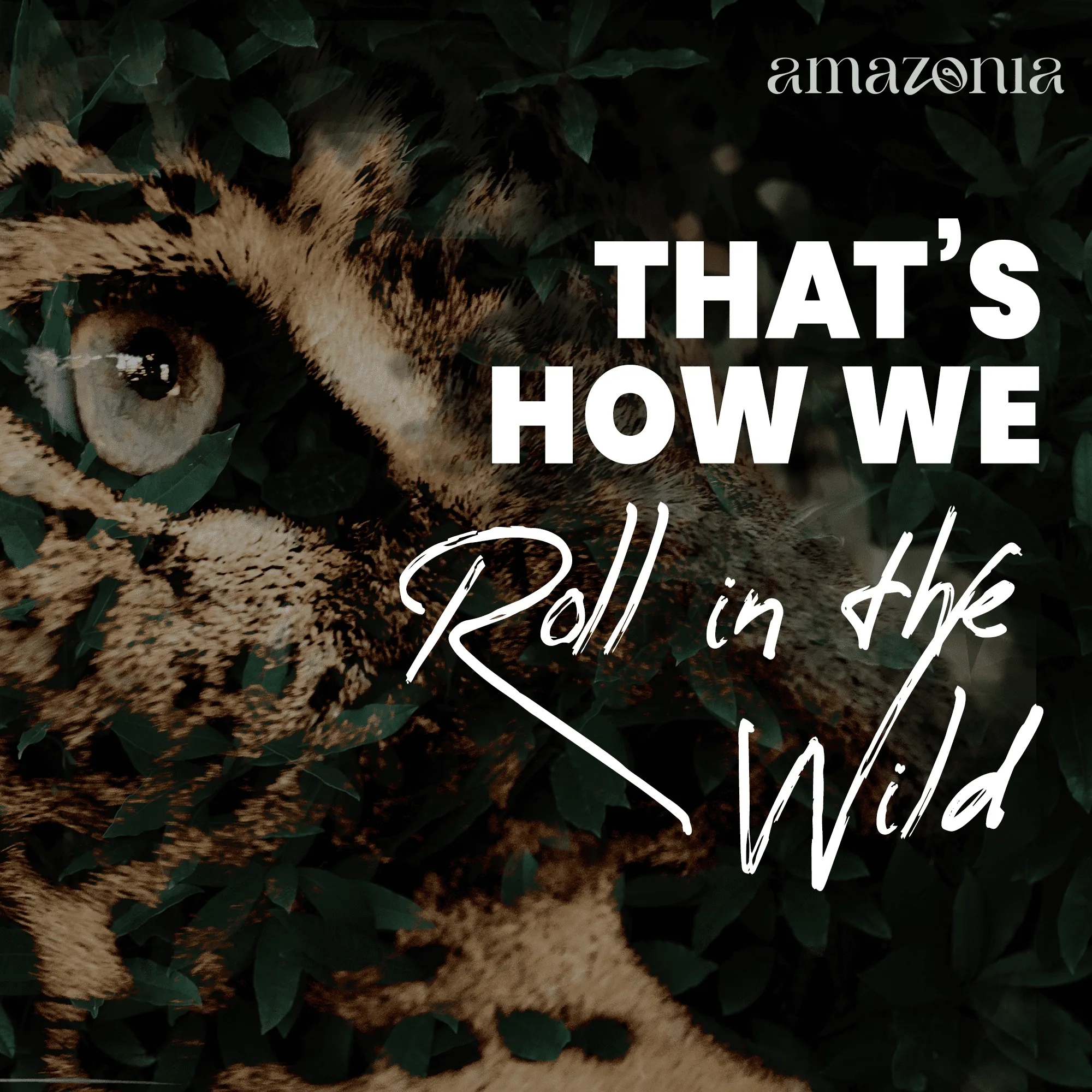 cover2