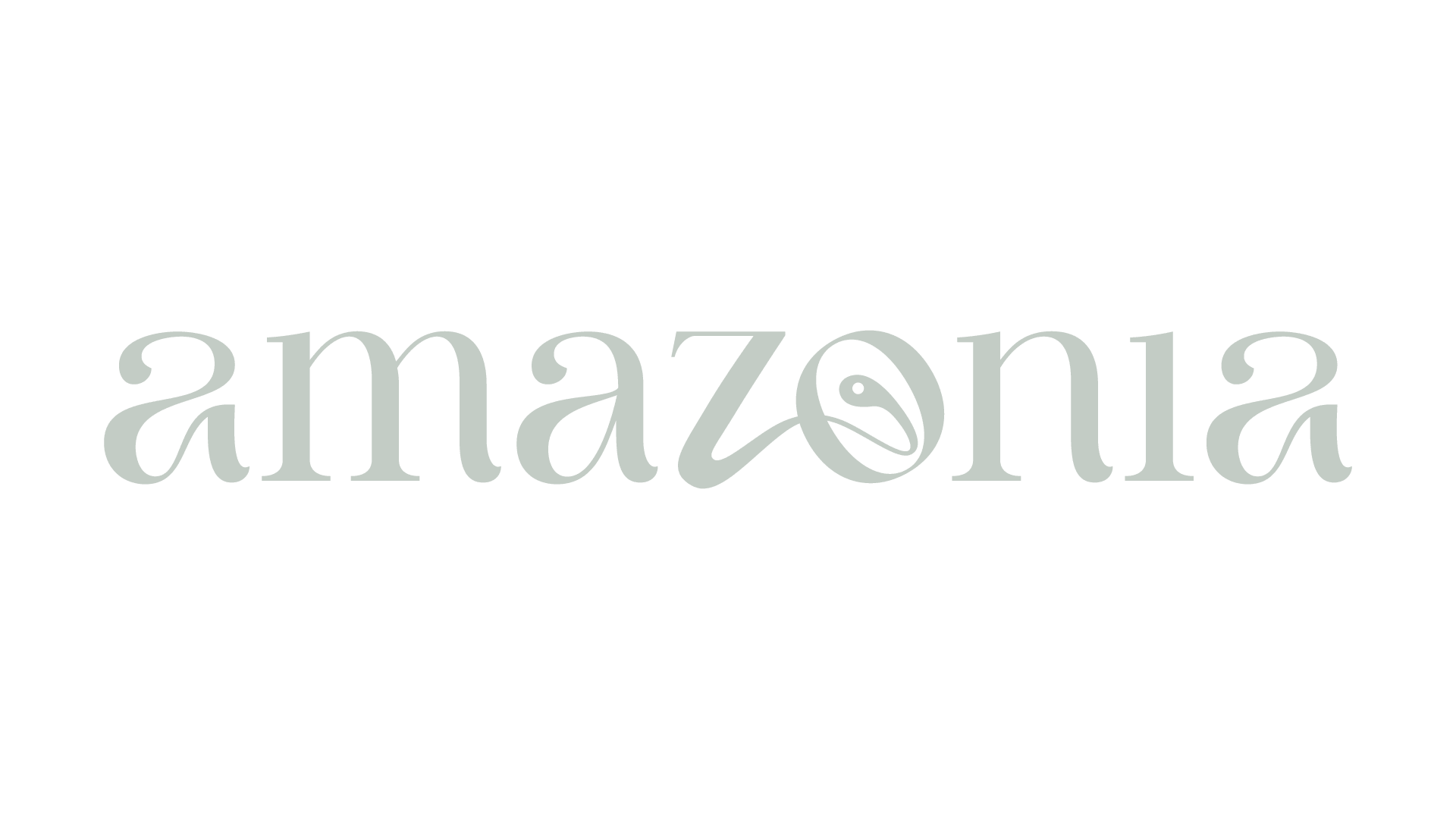 Amazonia client logo