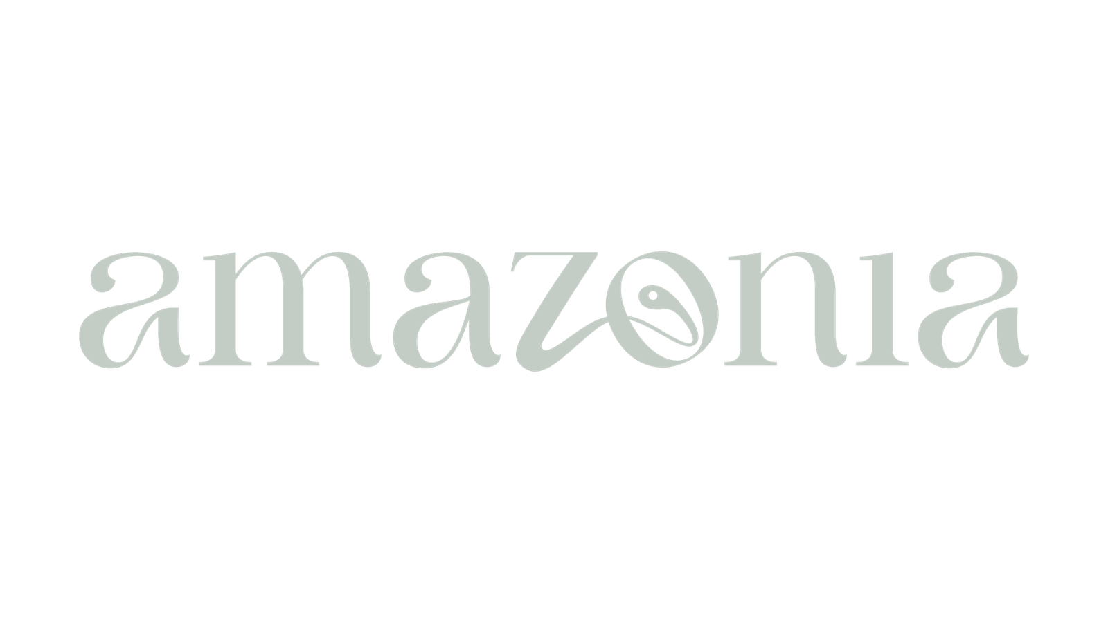 Amazonia client logo